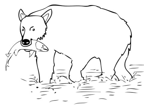 Brown Bear Catch The Salmon Coloring Page